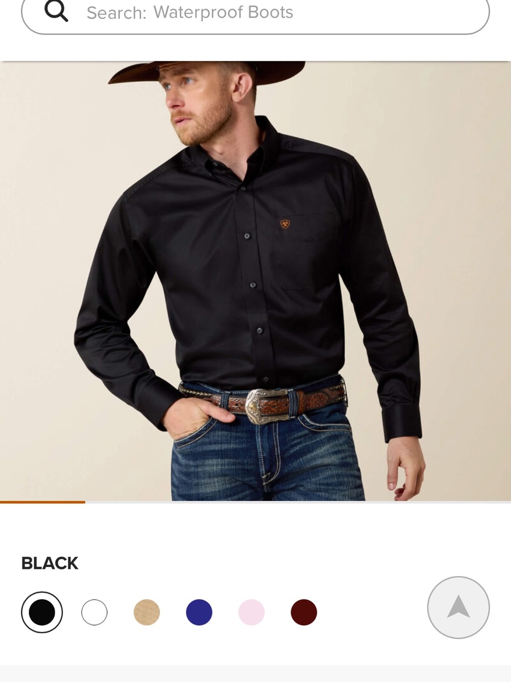 Ariat button down shirt